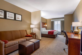  Comfort Suites North Knoxville  Кноксвилл